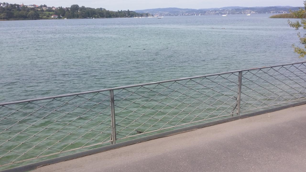 Le lac de Constance